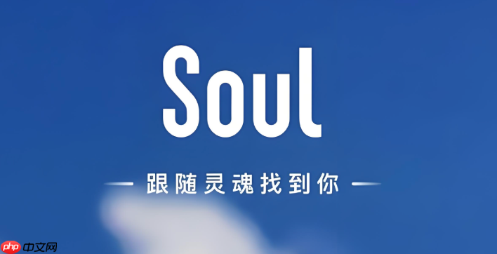 Soul如何查看与对方的共同标签 Soul共同标签查看指南