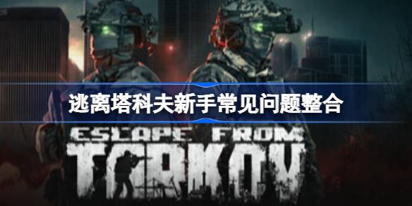 逃离塔科夫有哪些阵营