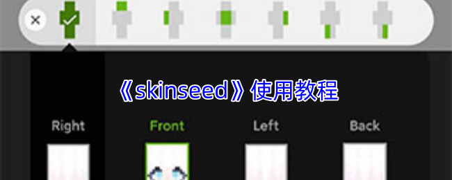 skinseed怎么用