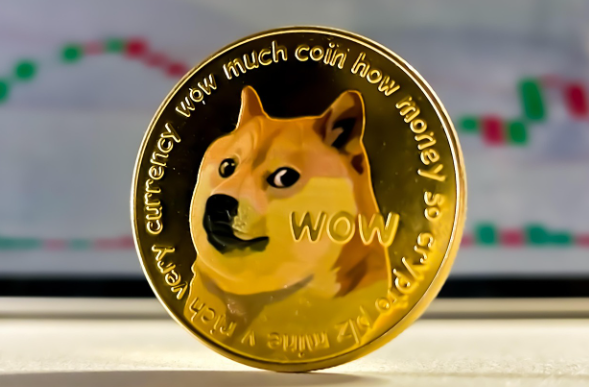 1763524388912794.jpg 04.jpg