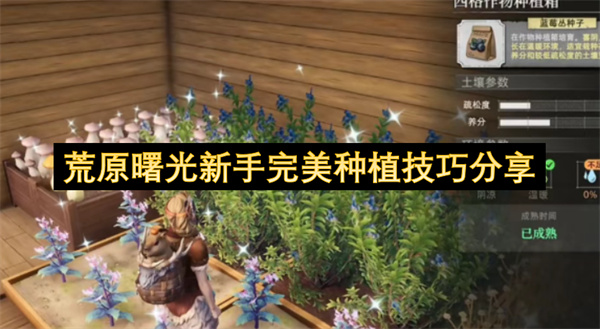 荒野曙光新手零失误种植指南