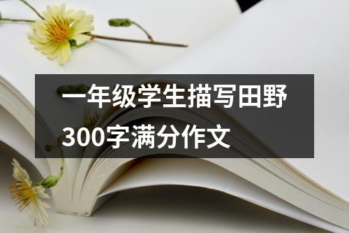 一年级学生描写田野300字满分作文