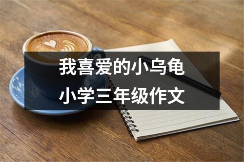我喜爱的小乌龟小学三年级作文