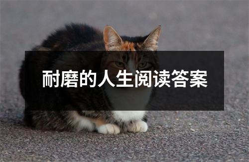 耐磨的人生阅读答案