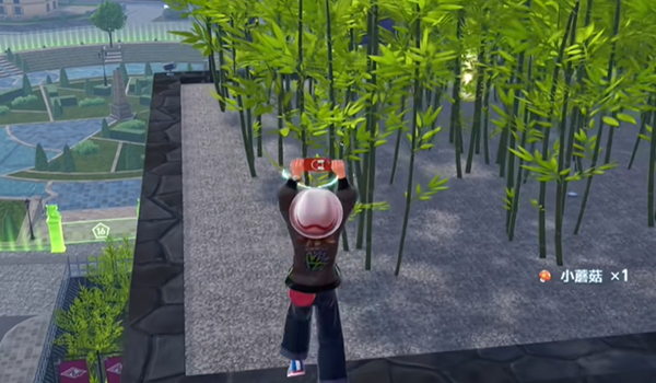 宝可梦传说ZA龙之波动技能位置在哪