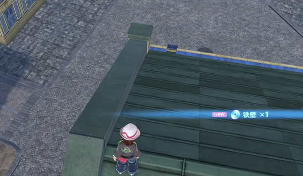 宝可梦传说ZA铁壁技能在哪