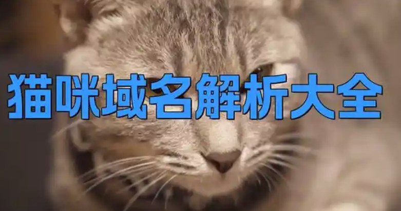 2025猫咪永久海外域名网站
