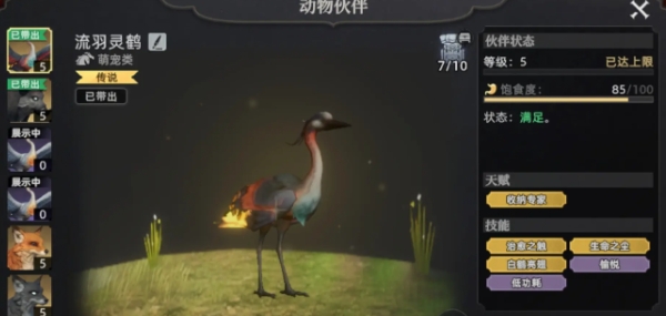 荒原曙光抓哪个宠物好