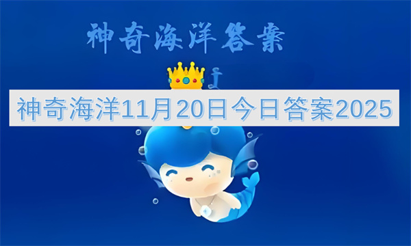神奇海洋11月20日最新答案2025