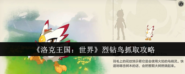 洛克王国世界烈钻鸟怎么抓取  洛克王国世界烈钻鸟抓取攻略