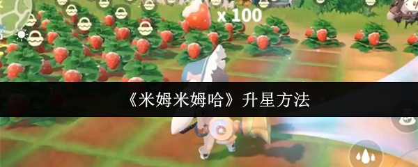 米姆米姆哈怎么升星  米姆米姆哈升星方法