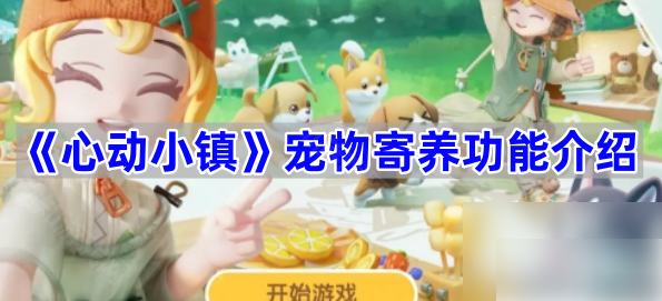 心动小镇如何寄养猫咪 心动小镇宠物寄养功能介绍