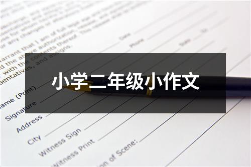 小学二年级小作文