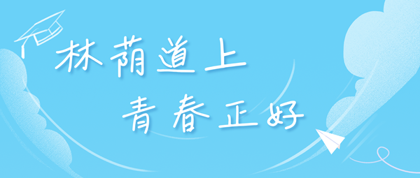 北京语言大学在各省的录取分数线及位次,2026届高考生多少分能上?