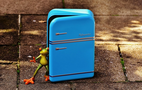 男子11.11元秒杀小米冰箱遭拒发 客服：系统配置错误 补偿30元