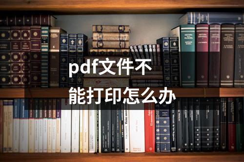 pdf文件不能打印怎么办