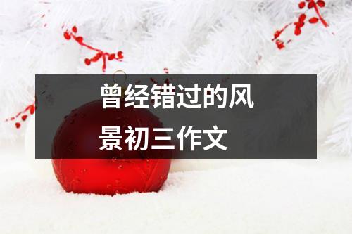 曾经错过的风景初三作文