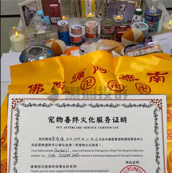 宠物医院氧气爆炸 16岁狗狗受惊吓死亡 主人：医院拒绝赔偿