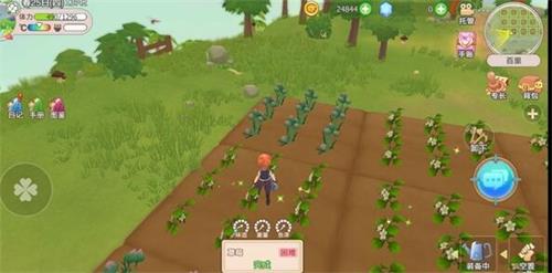 四季物语怎么快速浇水