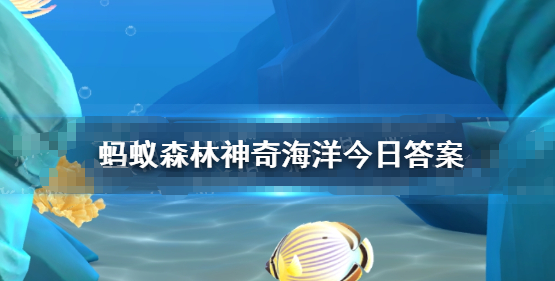 苏眉鱼是是哪种鱼