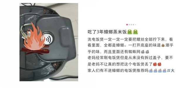 电饭煲这4个地方不洗 当心吃“蟑螂蒸饭”！