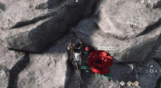 燕云十六声花魁任务怎么做