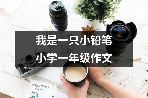 我是一只小铅笔小学一年级作文
