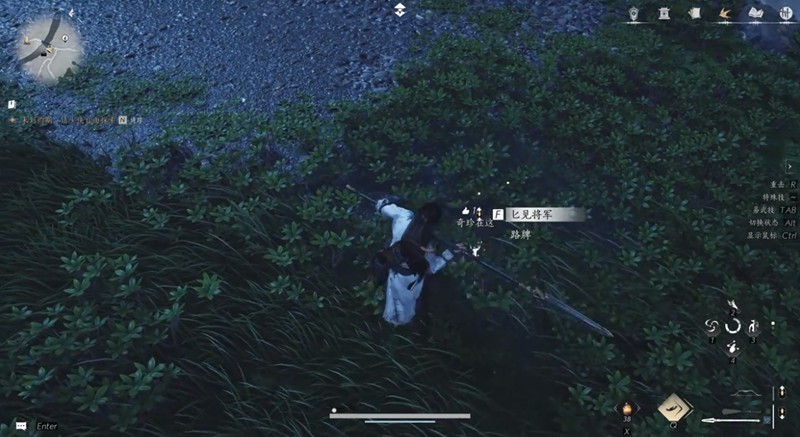 《燕云十六声》奇珍系统玩法介绍