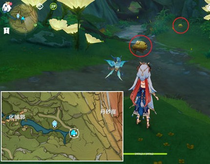 原神小蕈猪位置大全