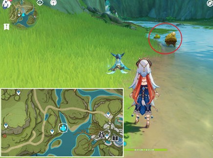 原神小蕈猪位置大全