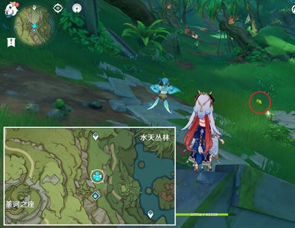 原神小蕈猪位置大全