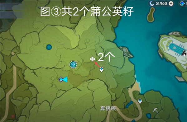 原神蒲公英籽采集图一览3.6