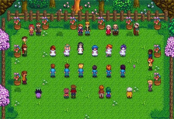 星露谷物语夏天种什么赚钱