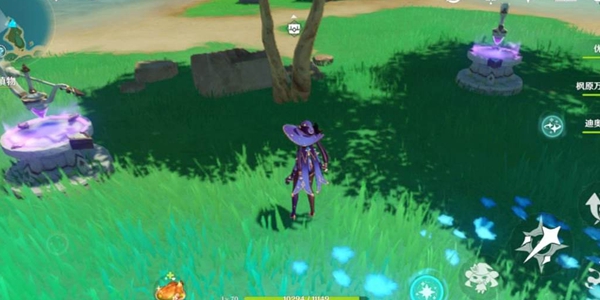 原神幻境海螺位置大全