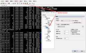 SecureCRT怎么设置黑色界面白色字体-SecureCRT如何将界面设置为黑色字体设置为白色