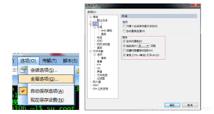 SecureCRT怎么设置鼠标滑轮粘贴-SecureCRT如何通过鼠标滑轮进行粘贴设置