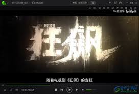 爱奇艺万能播放器如何设置记忆播放-爱奇艺万能播放器怎样设置记忆播放