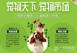 养宠记如何购买物品-养宠记怎么进行购物