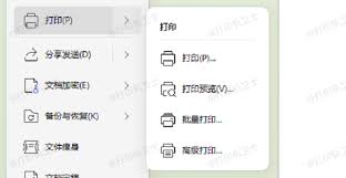 SafariPDF在线预览空白如何解决-SafariPDF在线预览空白的处理办法