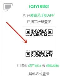 爱奇艺如何扫码登录他人会员-爱奇艺扫码登录别人会员的方法