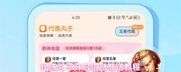 代练丸子如何修改昵称-代练丸子怎样更改名字