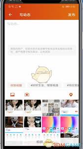 探探如何查看动态-探探怎样看动态