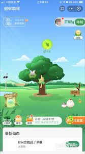 蚂蚁森林过期能量怎么查看-如何查看蚂蚁森林过期能量
