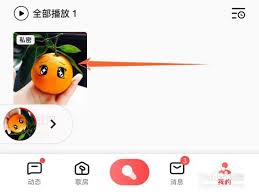 全民K歌怎么删除已发布的作品-全民K歌如何删掉已发布的作品