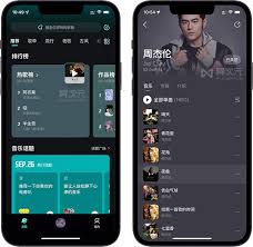 波点音乐有无无损音质-波点音乐是否存在无损音质