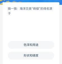 砗磲在支付宝神奇海洋里名字源于何处-支付宝神奇海洋砗磲名字的由来是什么