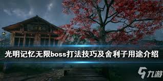 光明记忆中无限舍利子如何获取-探索光明记忆中无限舍利子的多种获得途径