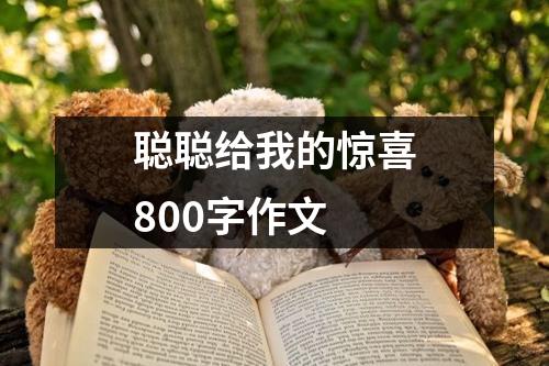 聪聪给我的惊喜800字作文