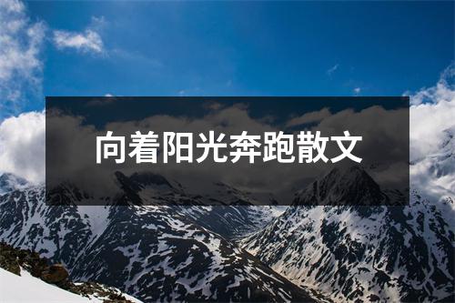 向着阳光奔跑散文