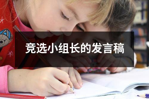 竞选小组长的发言稿